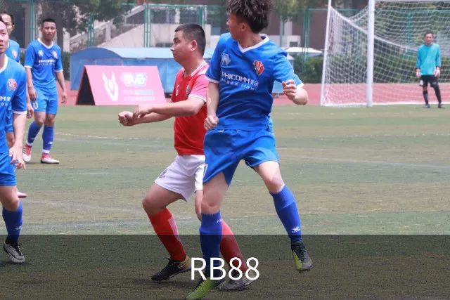 RB88公司简介
